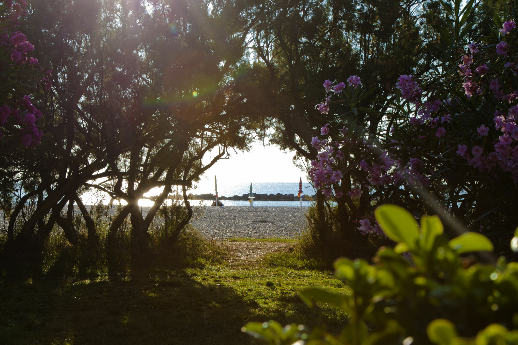 Residence Casabianca Porto San Giorgio Kültér fotó